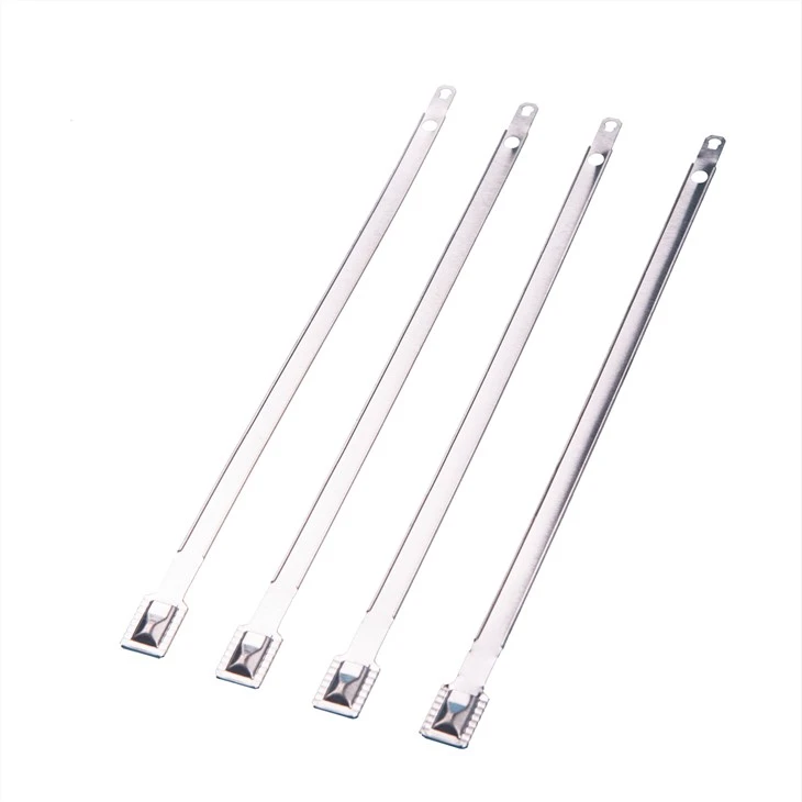 Stainless Steel Seals