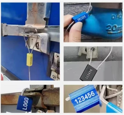 What Are The Current And Future Prospects For The Cable Safety Seal Market?